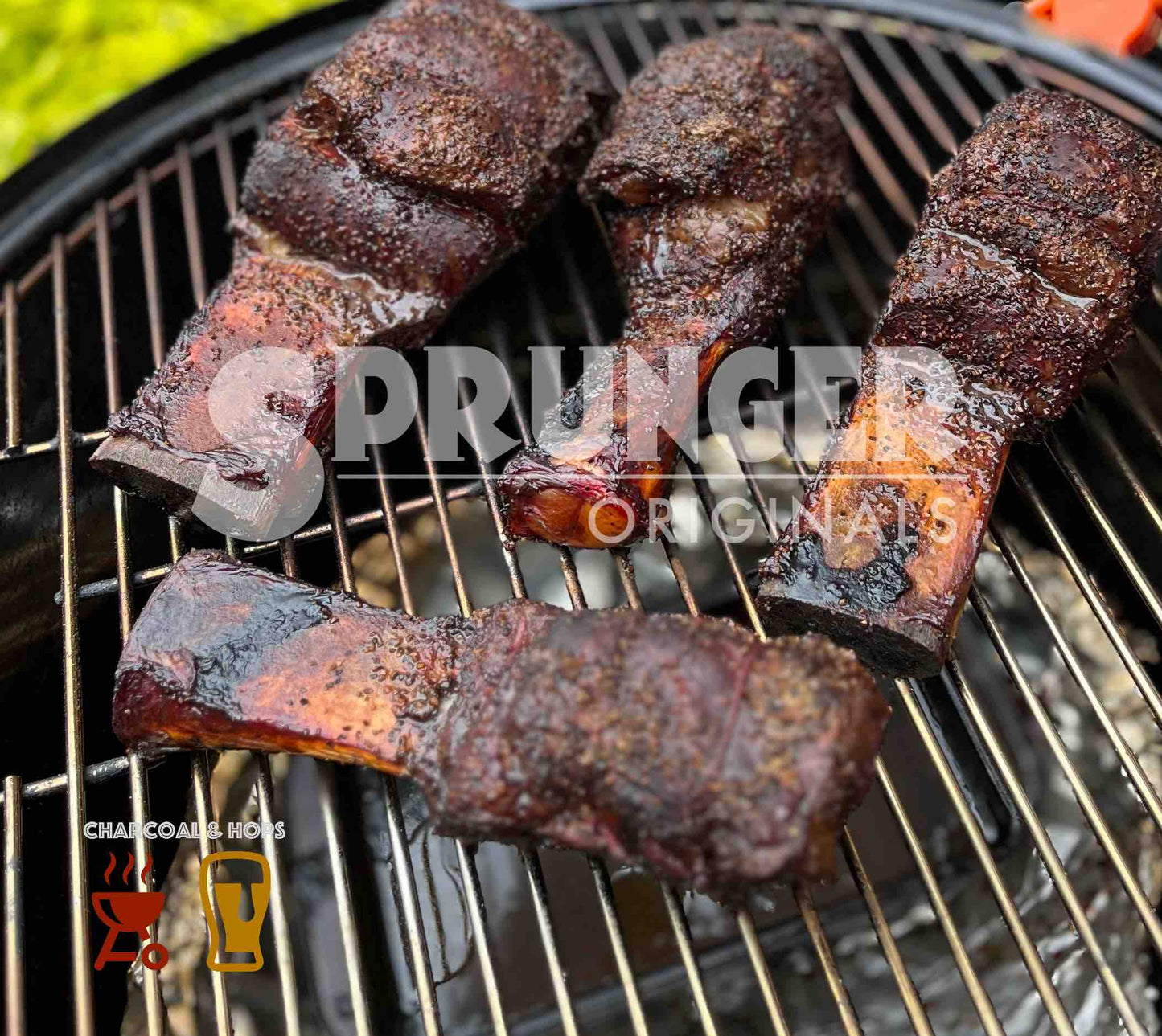 Beef back ribs - September 2023 NFT