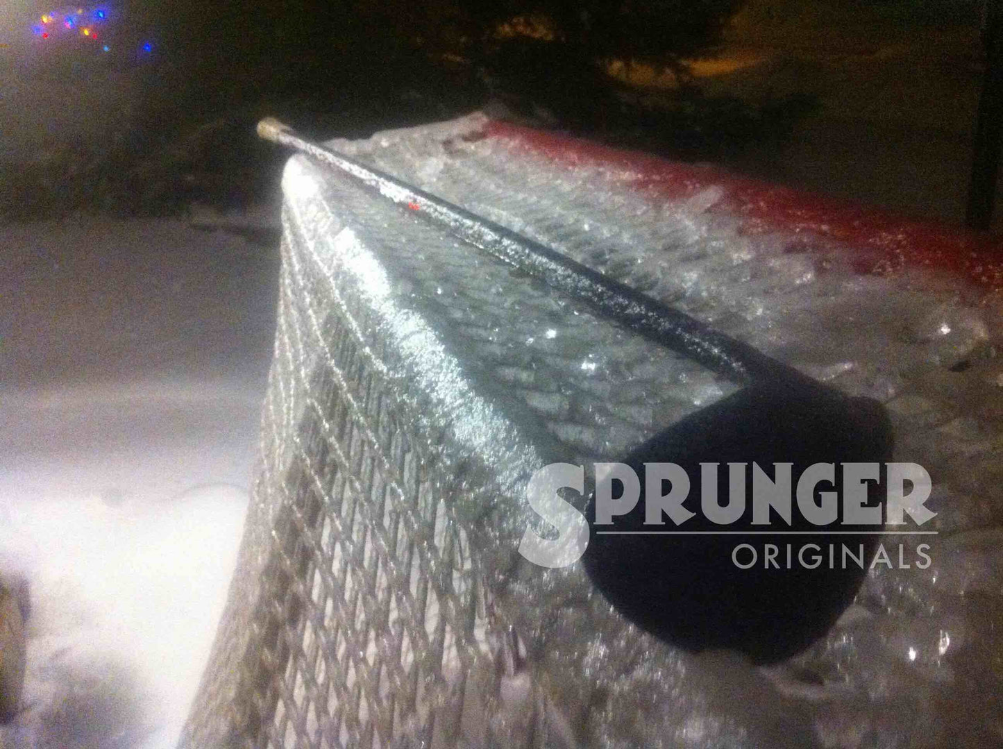 Ice Net