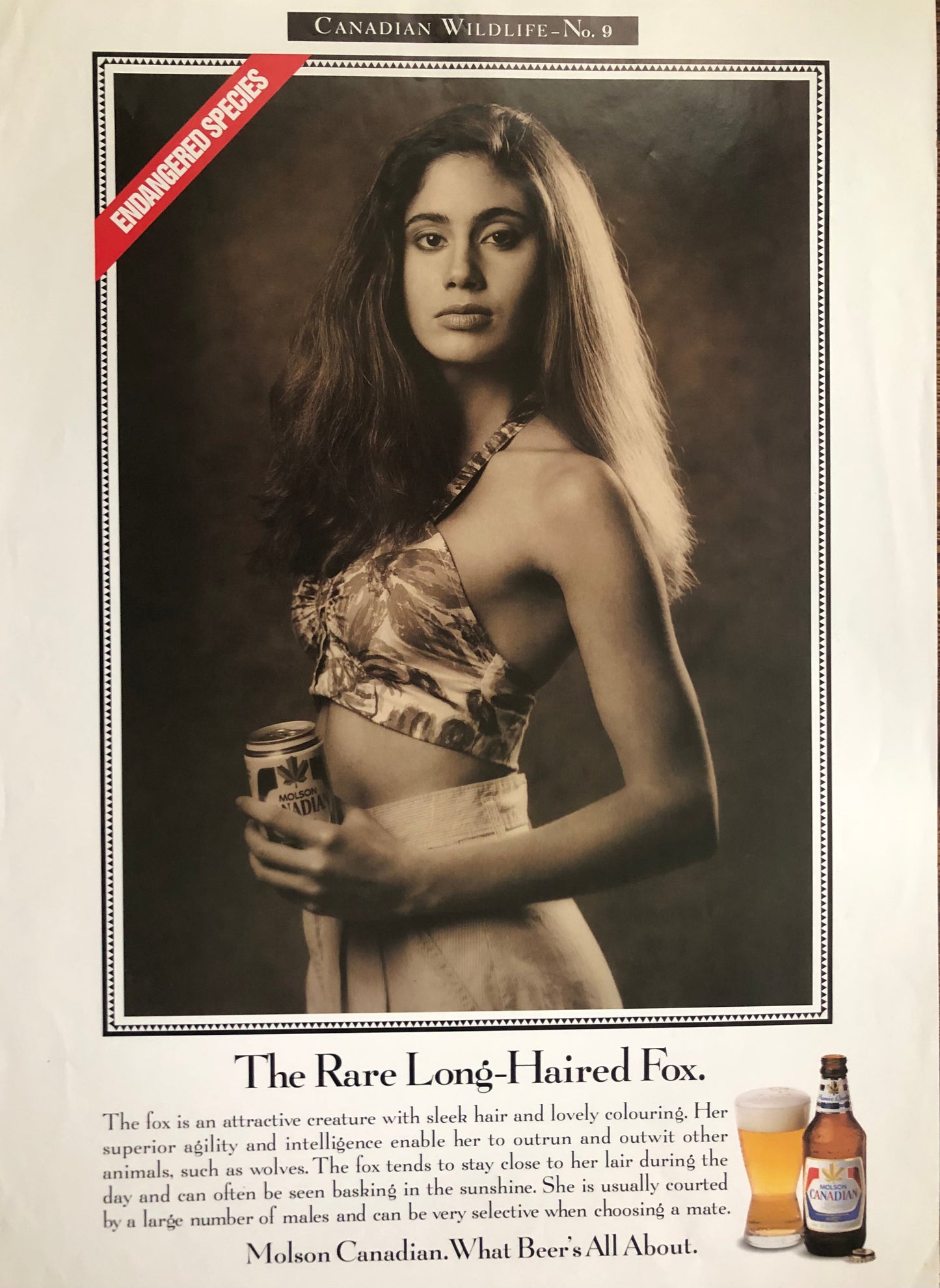 "The Rare Long-haired Fox" Molson Canadian poster framed