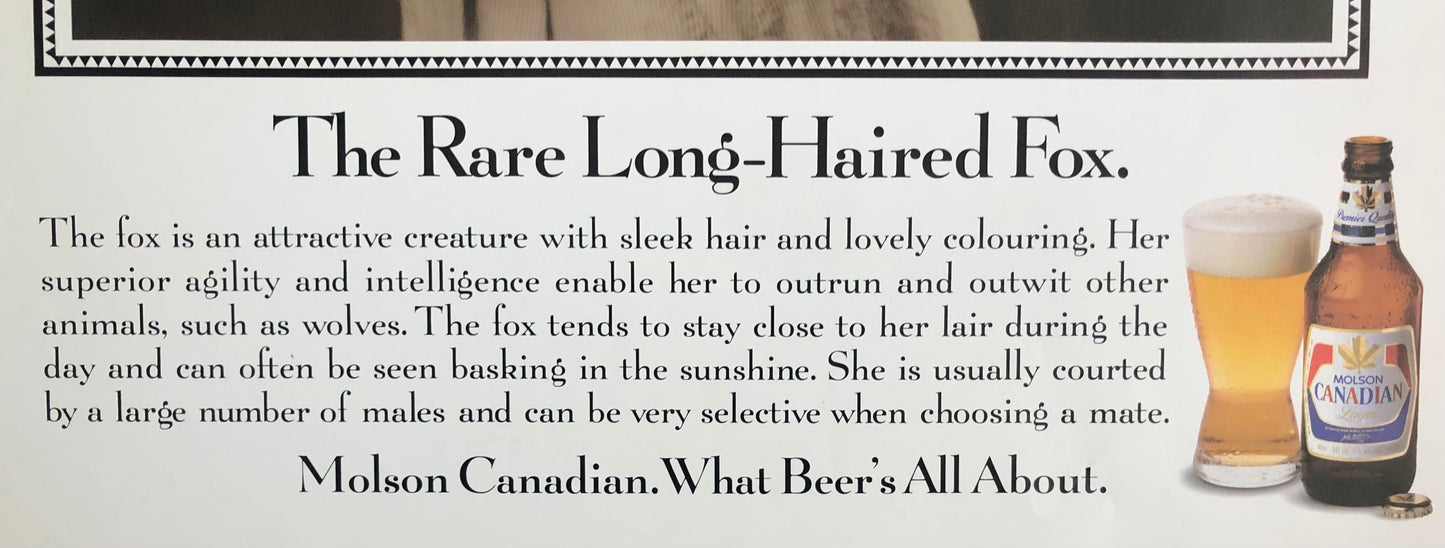 "The Rare Long-haired Fox" Molson Canadian poster