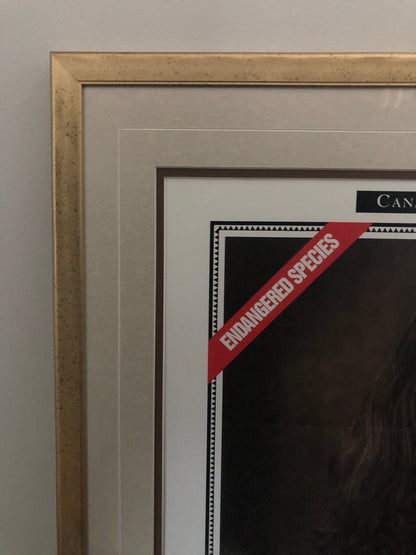 "The Rare Long-haired Fox" Molson Canadian poster framed